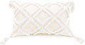 12x20 Boho White Tassel Lumbar Pillow Cover Tufted Chenille Cushion Case 1PC Cover Only